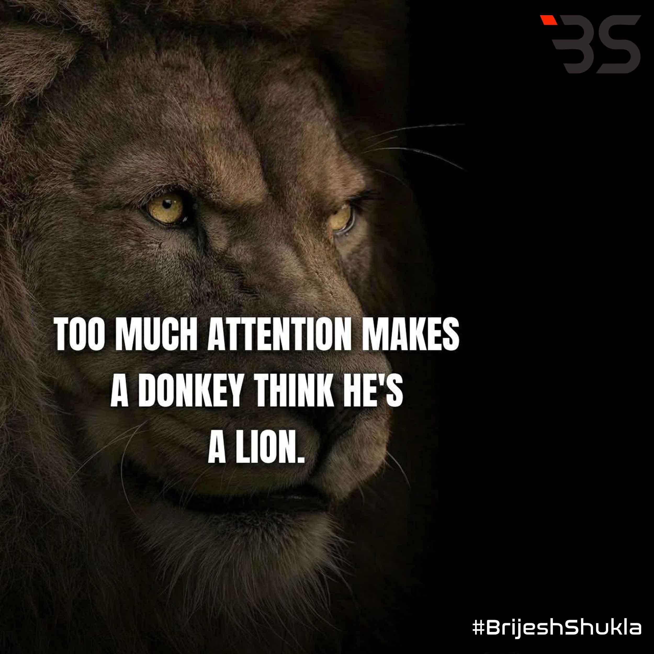 Too Much Attention Makes a Donkey Think He’s a Lion: The Danger of Hollow Validation